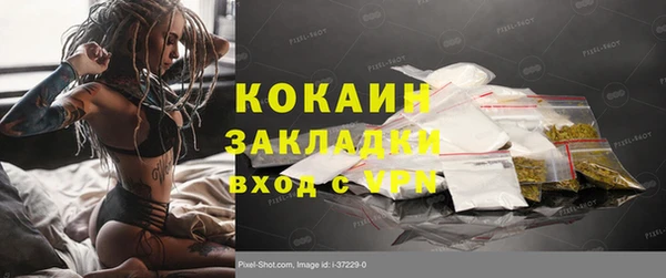 apvp Богородск