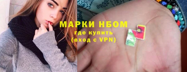дживик Бородино
