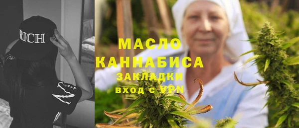 гидра Богородицк