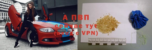 гидра Богородицк