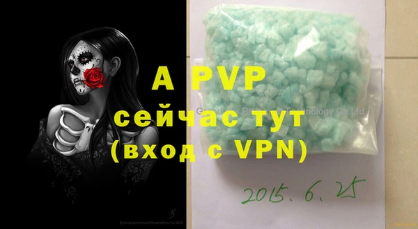 гидра Богородицк