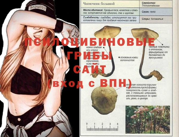 дживик Бородино