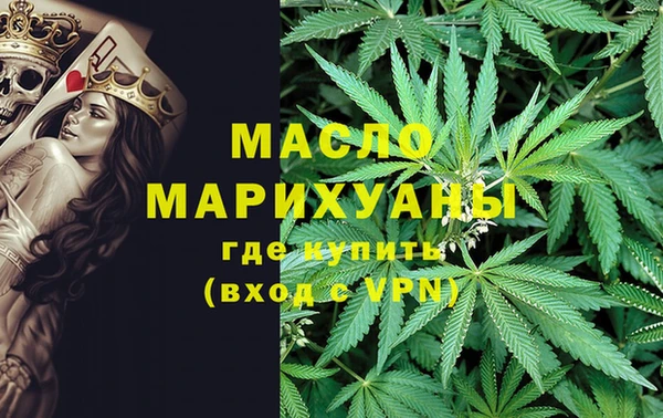 гидра Богородицк