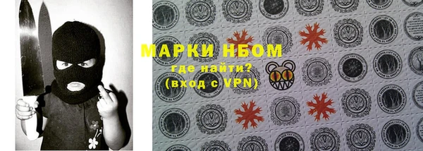 шишки Бронницы