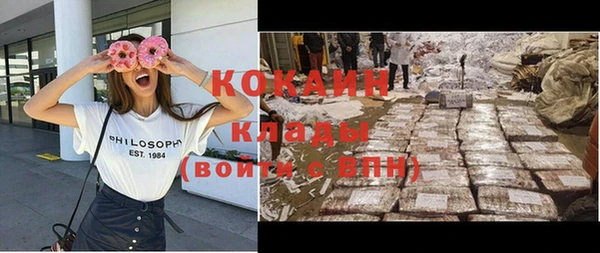 гидра Богородицк