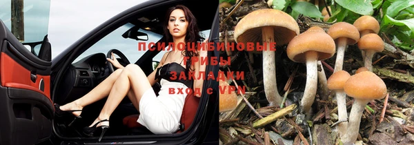 гидра Богородицк