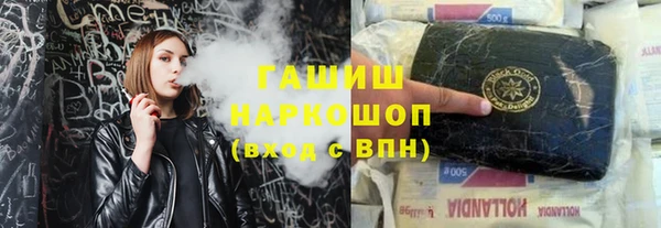 дживик Бородино