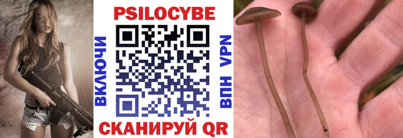 Галлюциногенные грибы Cubensis  Староминская 