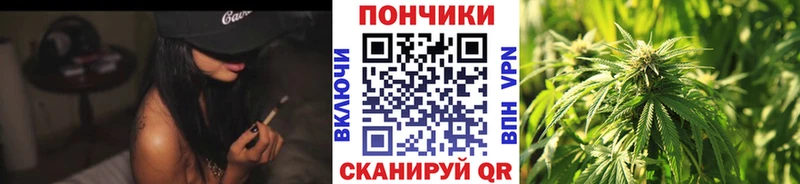 Канабис SATIVA & INDICA  hydra сайт  Староминская  купить  